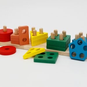 Montessori Educational Wooden Shape Sorter