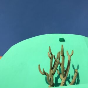 Talking Cactus Toy (Dancing & Repeating Cactus)